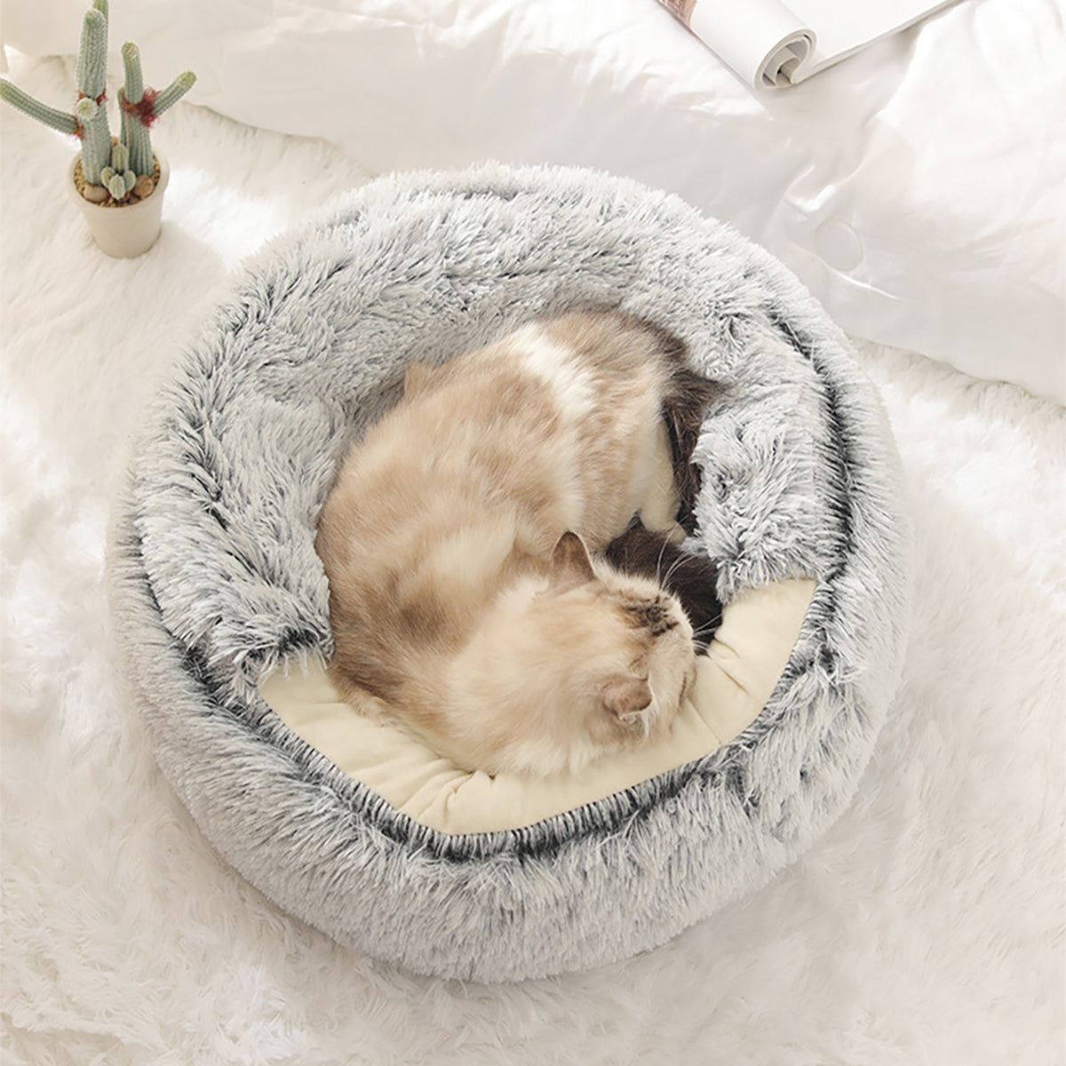 SnugPaw™ - Jeder Hund und jede Katze verdient es, hier zu liegen