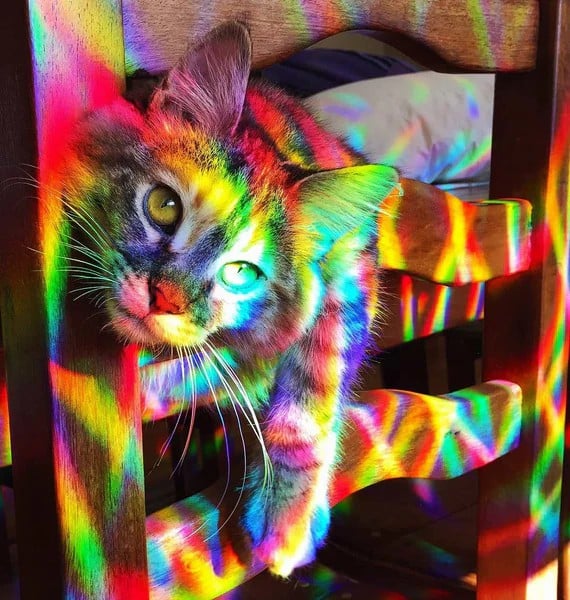 1+1 GRATIS | PrismAura™ Erhellen Sie Ihre Welt mit magischem Regenbogenlicht, das Freude und Kreativität inspiriert
