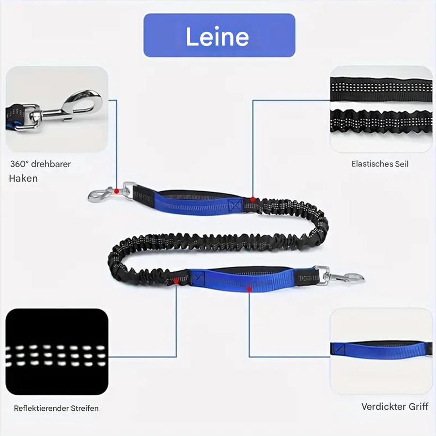 Verstellbare Hundeleine mit integrierter Tasche – Für mehr Komfort und Sicherheit beim Gehen