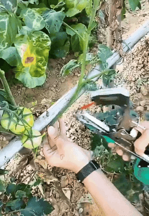 TrelliTie™ - Gartenpflanzen-Bindemaschine