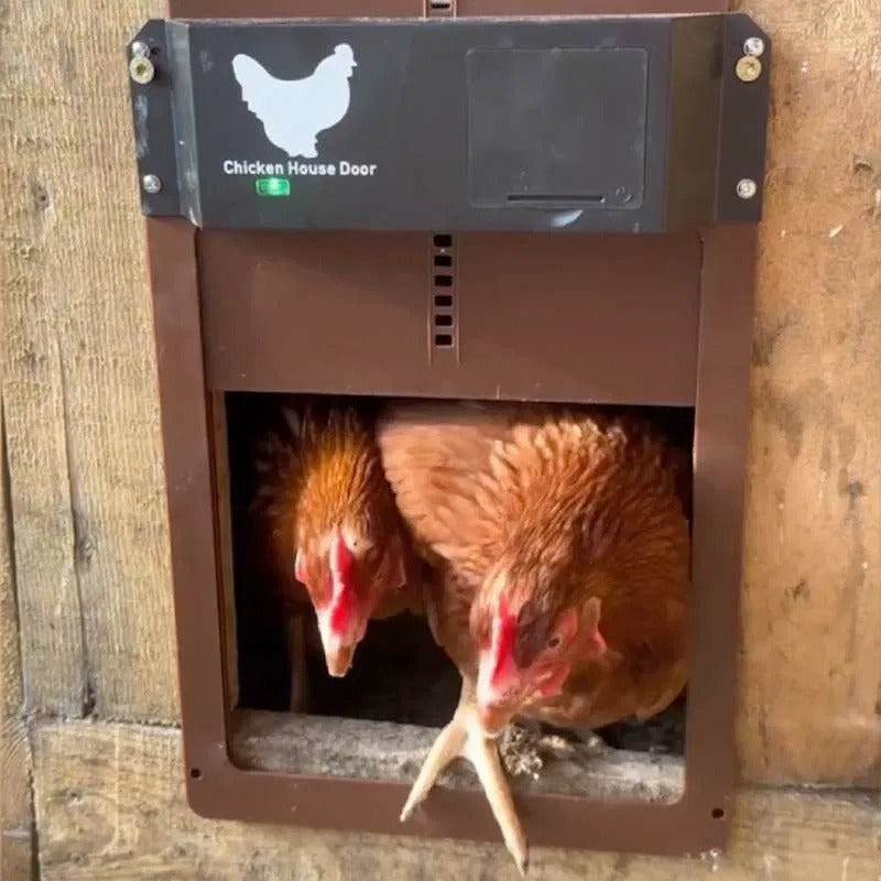 Chicken Door™ – Automatische Hühnerstalltür mit Lichtsensor