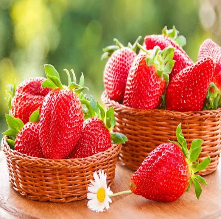 RadiBerry™ — Wachsen Sie für immer frische Erdbeeren, die täglich nähren und erfreuen