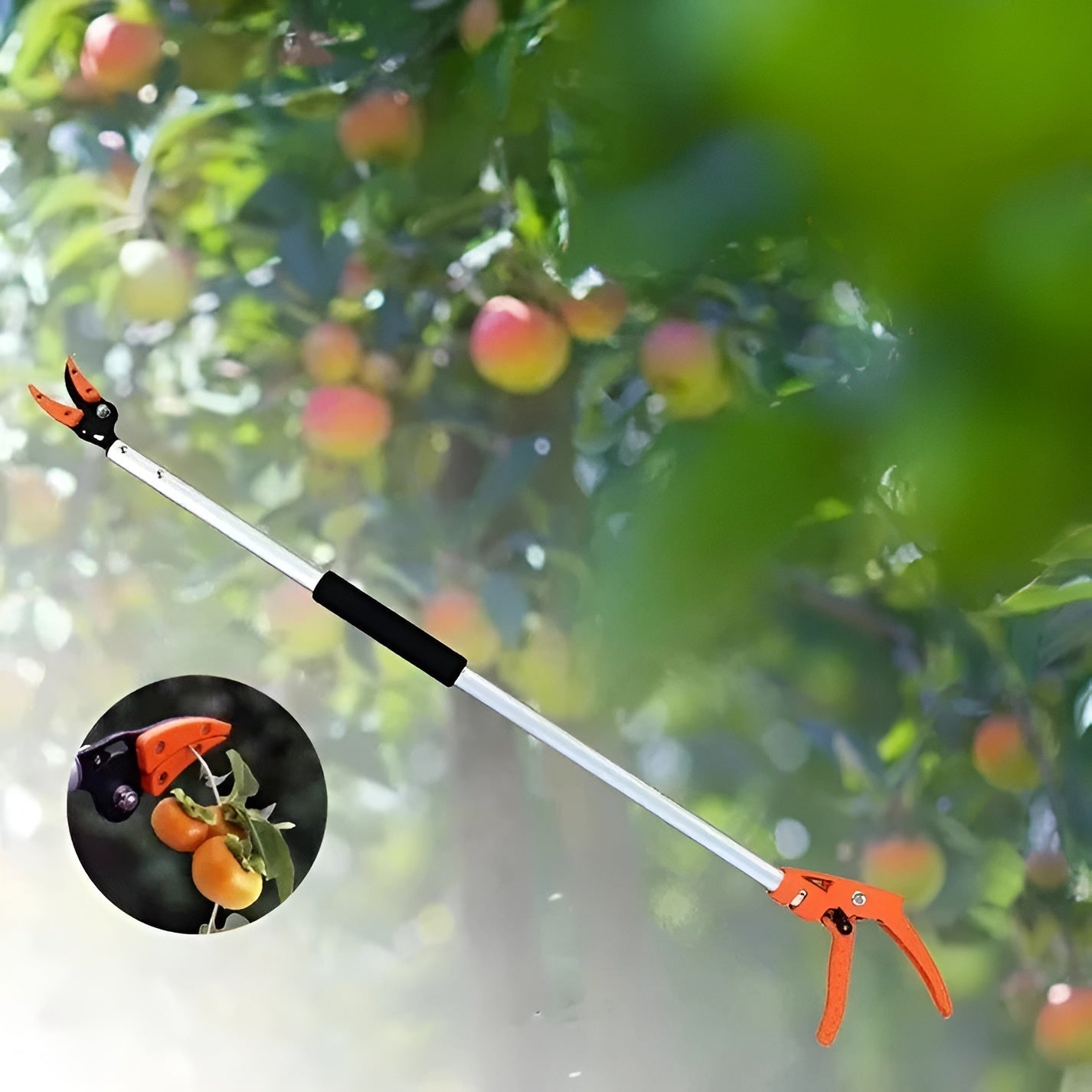SkySnip™ — Meistere hohe Äste sicher mit müheloser Präzision