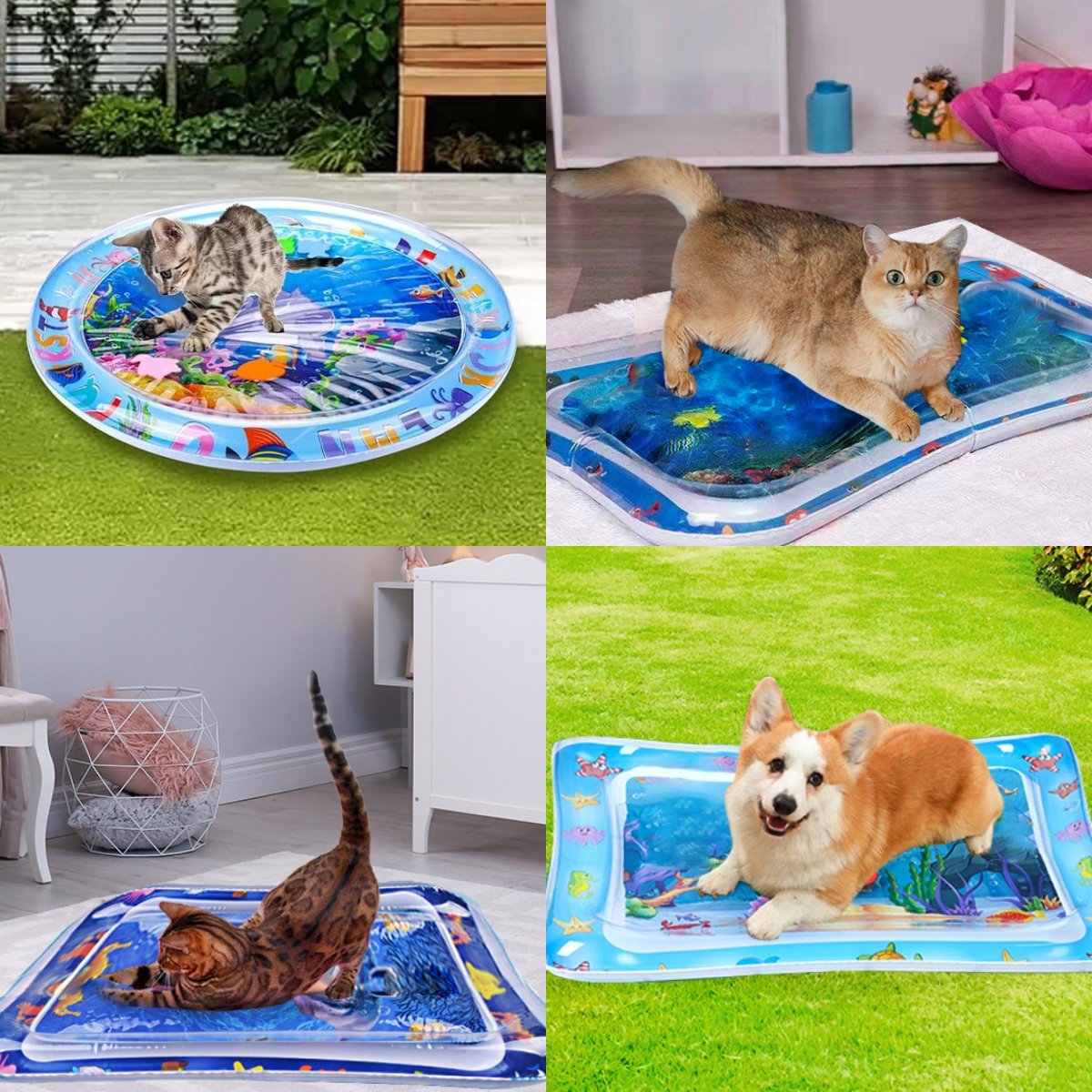 Puddle™ - Wasserspielmatte für Haustiere