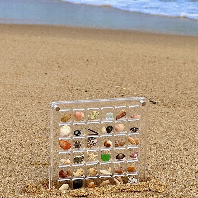 ShellGlo™ - Acryl Magnet Muschel Aufbewahrungsbox