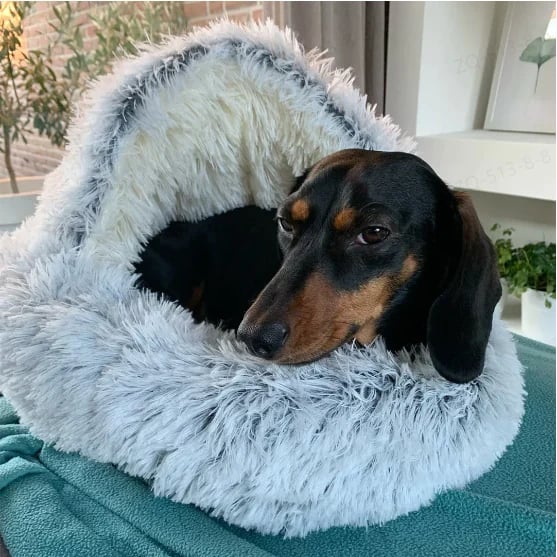 SnugPaw™ - Jeder Hund und jede Katze verdient es, hier zu liegen