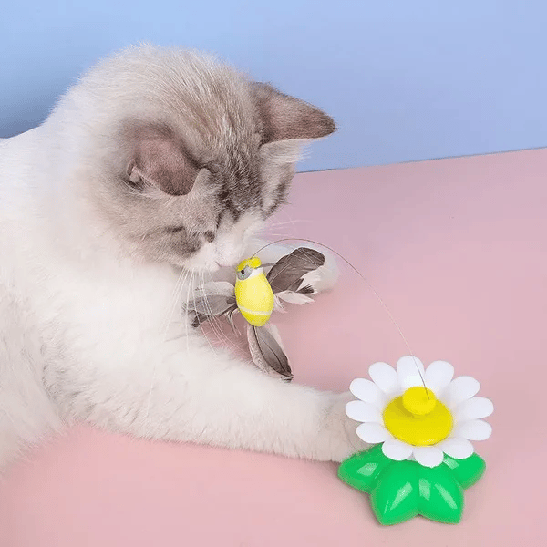 360° rotierender Spielzeugvogel für Katzen – Stressabbau für Haustiere