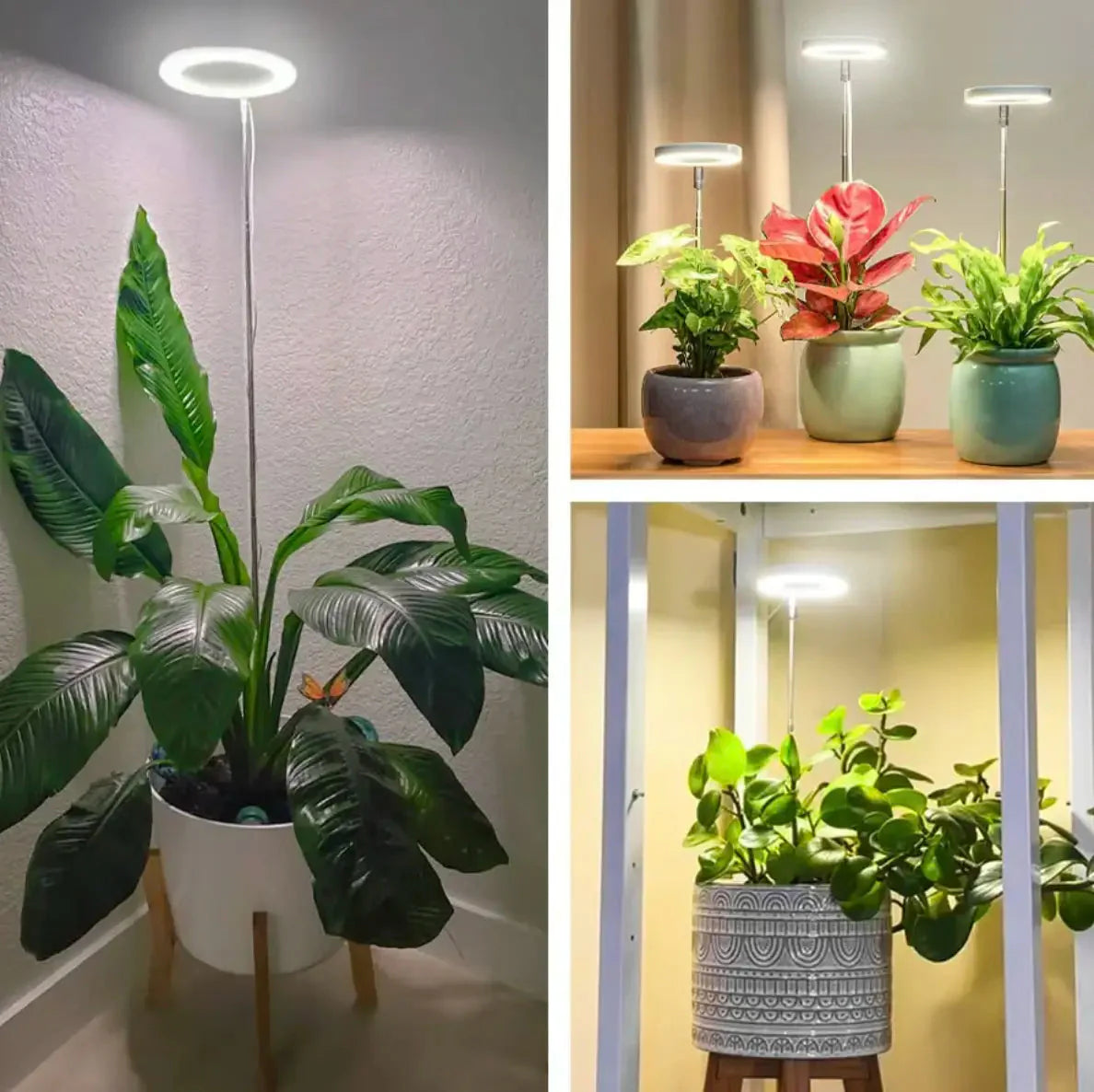 Verstellbare LED-Pflanzenlampe – Optimales Licht für gesundes Wachstum