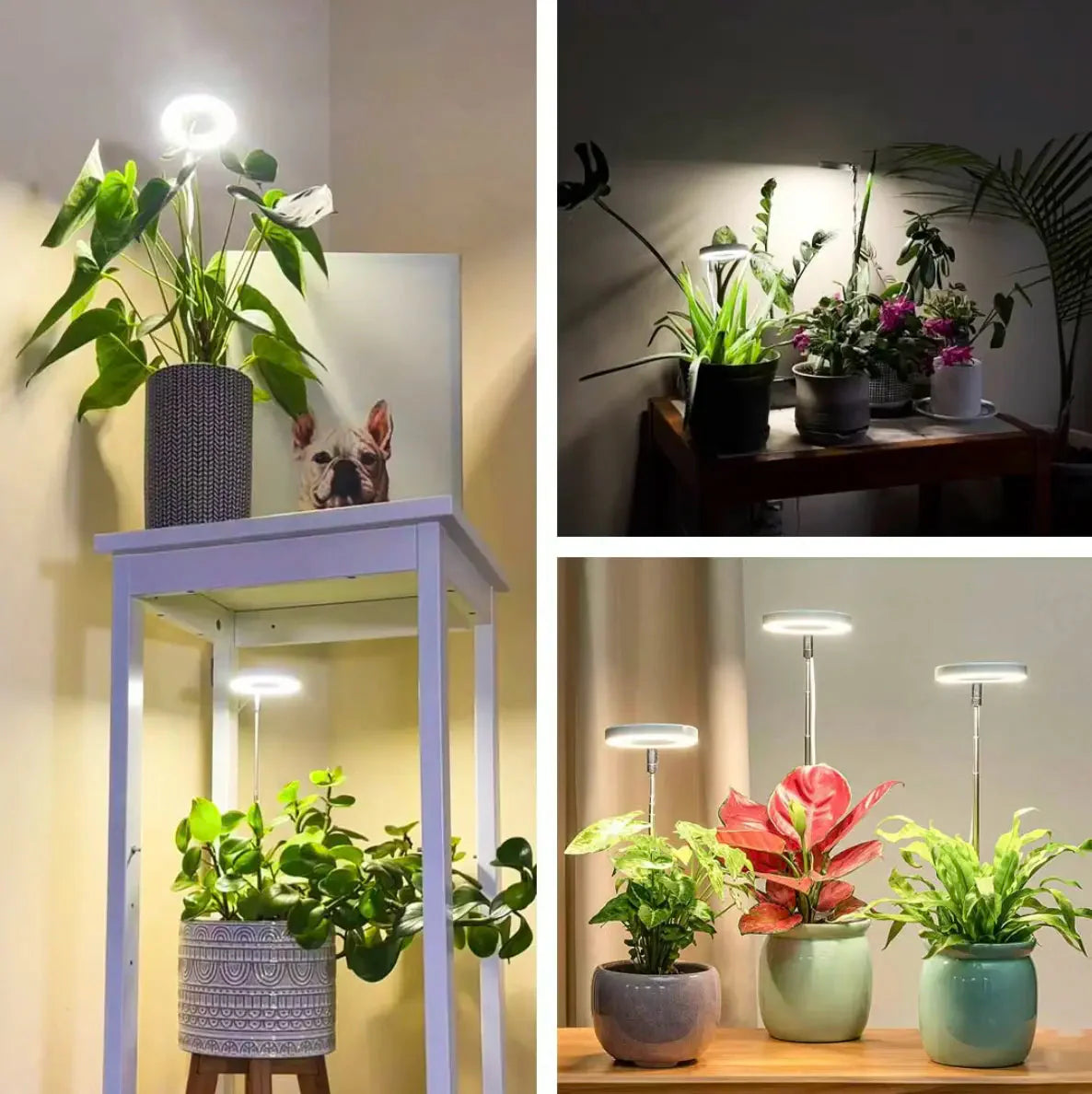 Verstellbare LED-Pflanzenlampe – Optimales Licht für gesundes Wachstum
