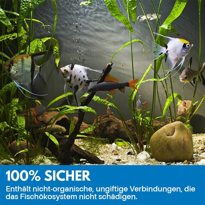 1+1 Gratis | Reinigungspulver Für Aquarium™