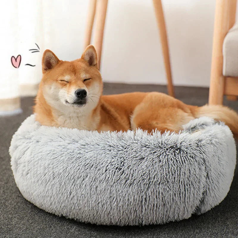 CatBed™ - Plüsch Kapuzen Katzenkokon (50% RABATT)