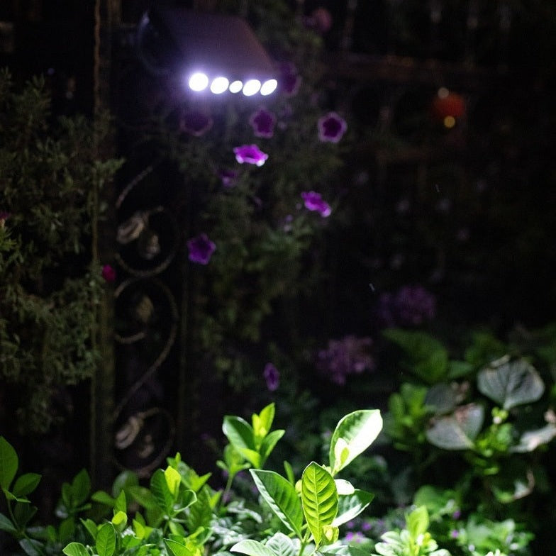 SolarSecure – Sicherheit bei Nacht ohne Stromkosten
