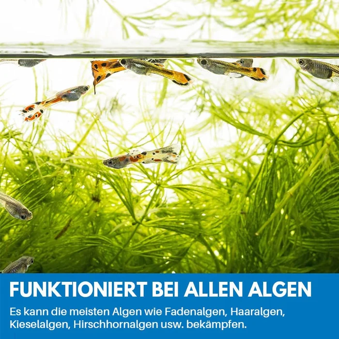 1+1 Gratis | Reinigungspulver Für Aquarium™