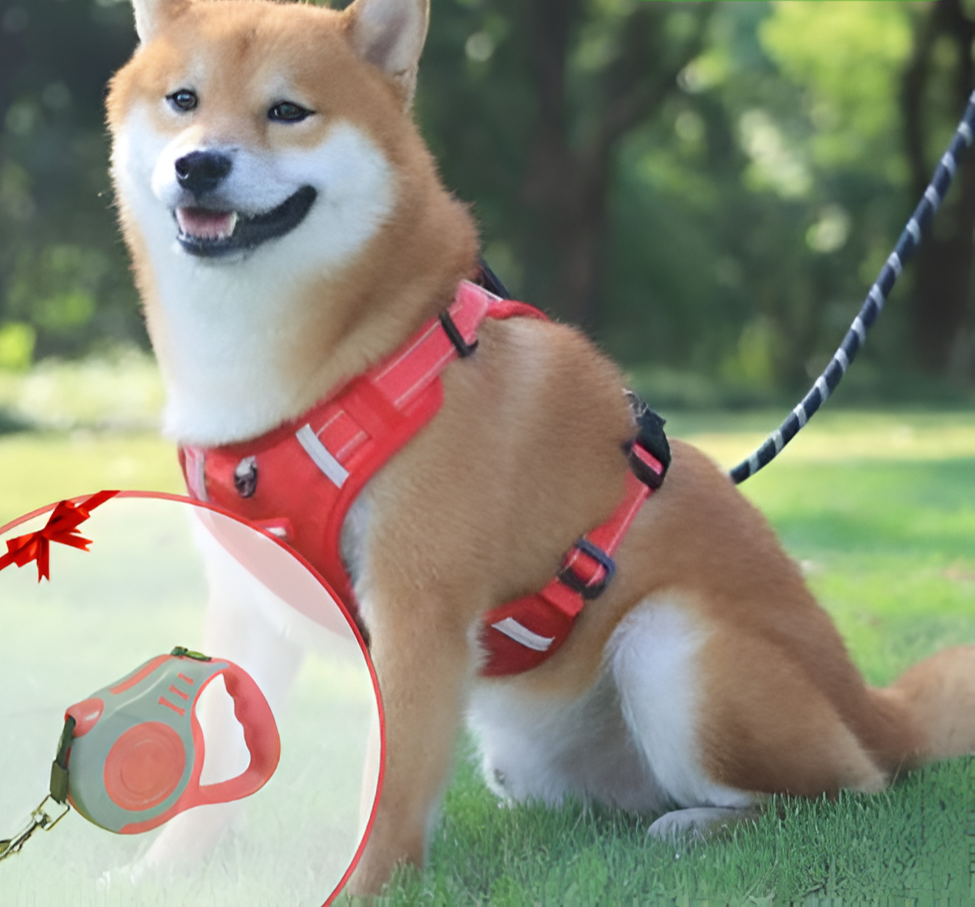PawSecure - Anti-Zug-Hundegeschirr | 50% RABATT