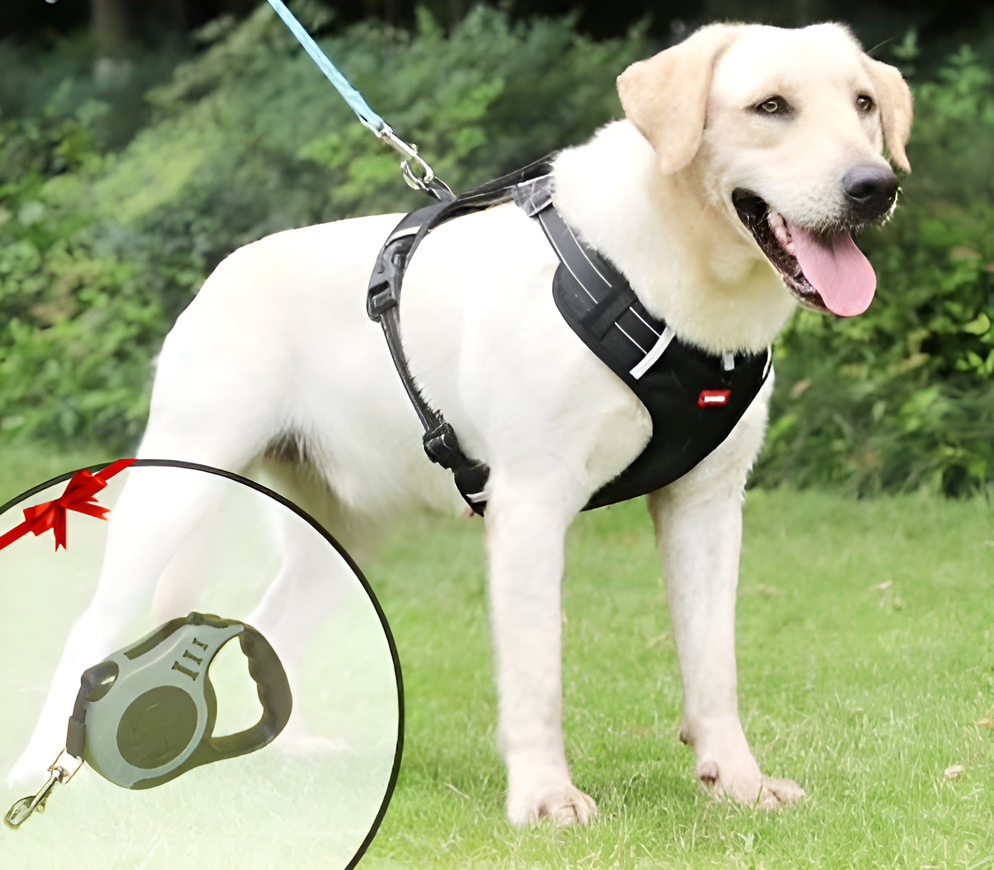 PawSecure - Anti-Zug-Hundegeschirr | 50% RABATT