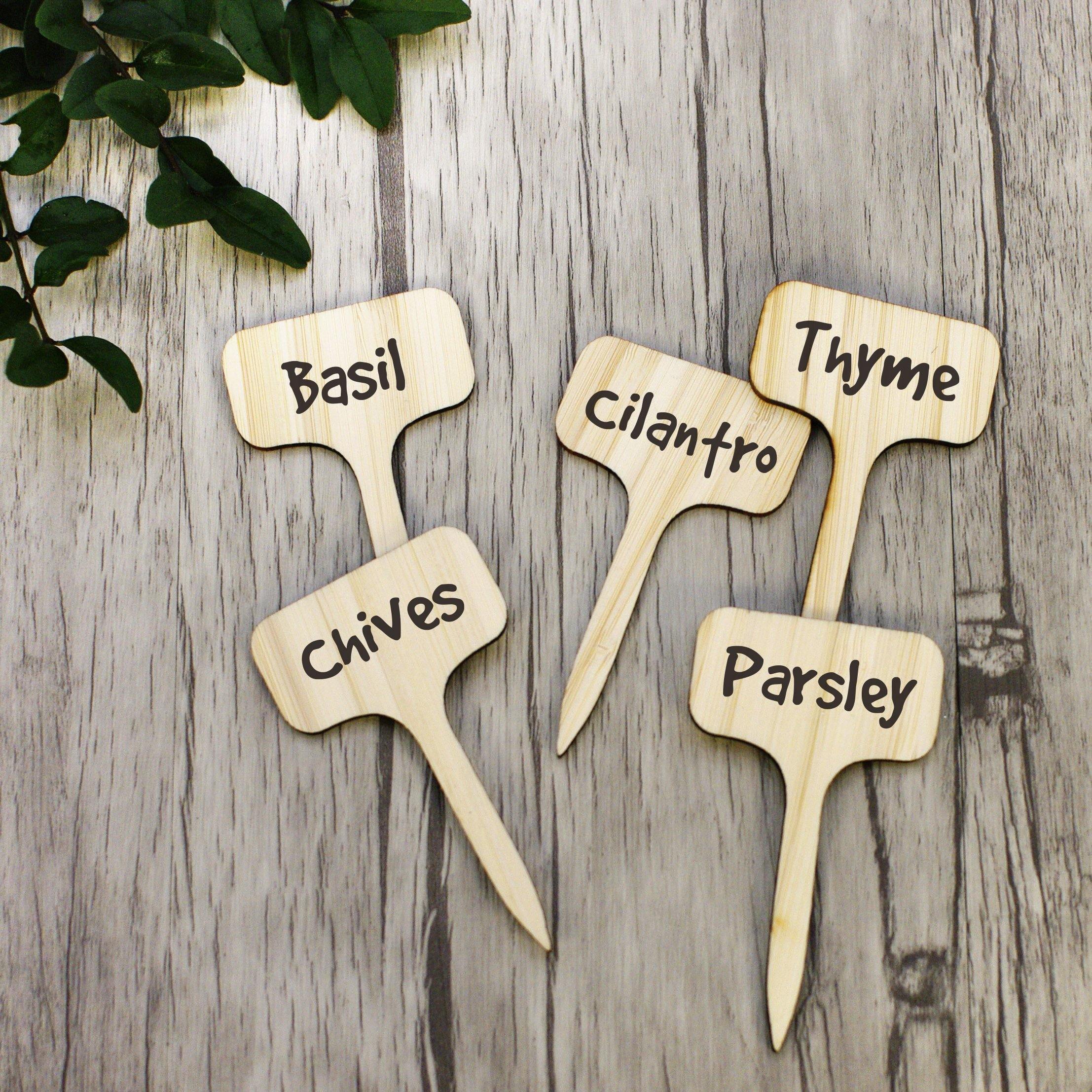 PlantSign – Pflanzenschilder aus Bambus für Garten & Deko