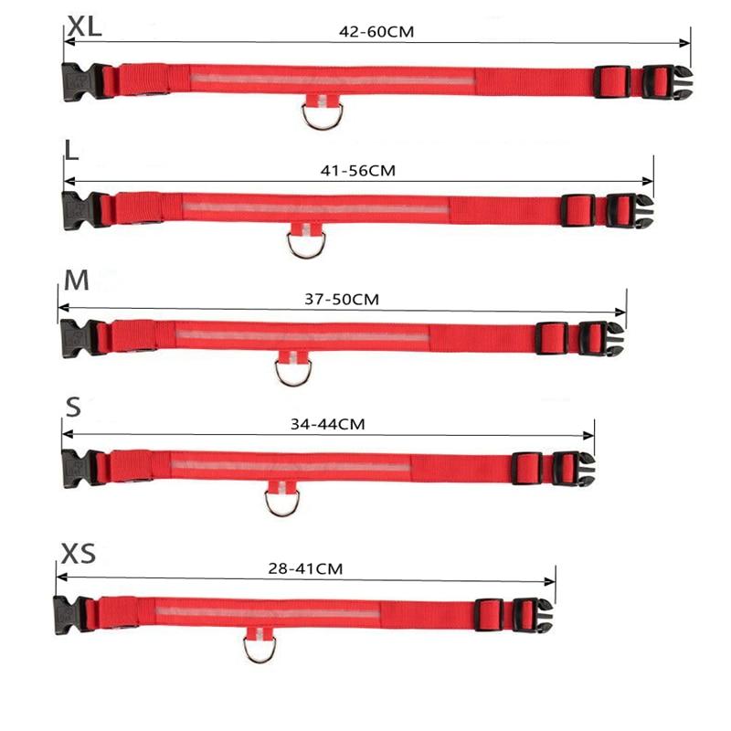 LED-Halsbänder für Hunde™