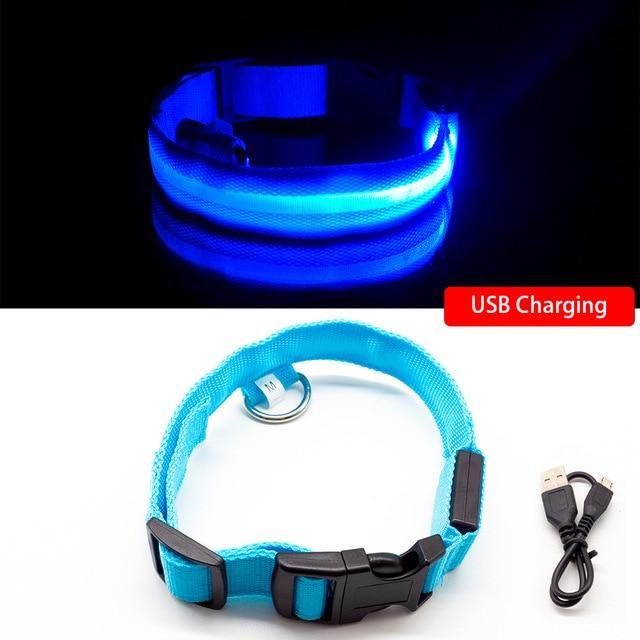LED-Halsbänder für Hunde™