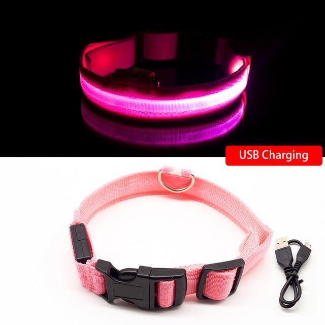 LED-Halsbänder für Hunde™