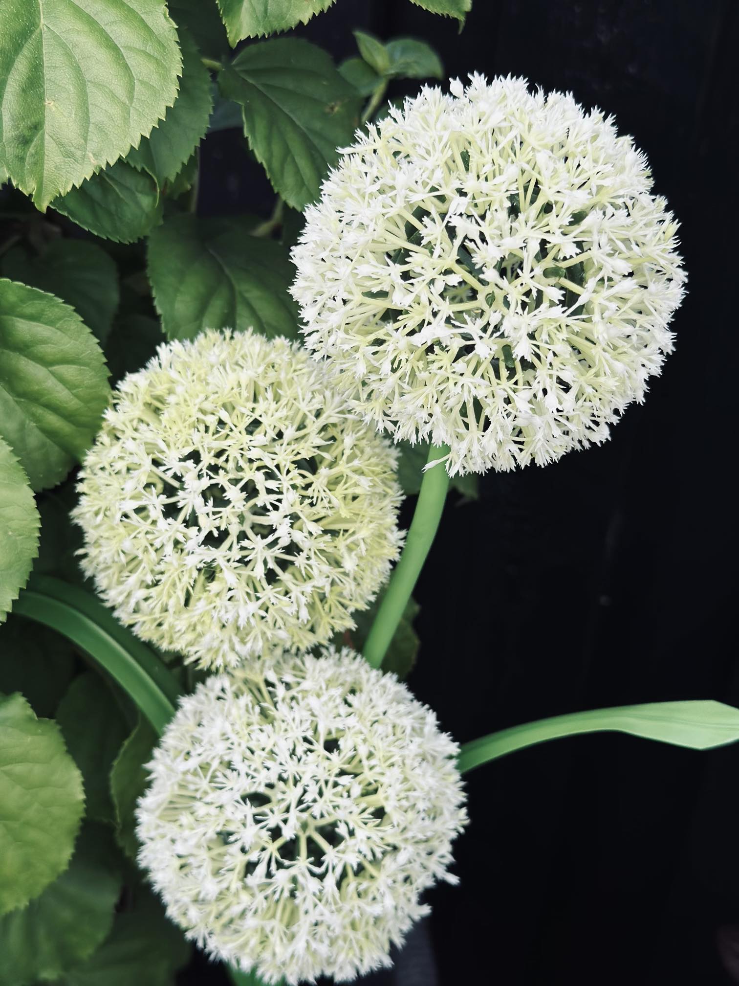 SolarBloom – Magisches Licht für Ihren Garten