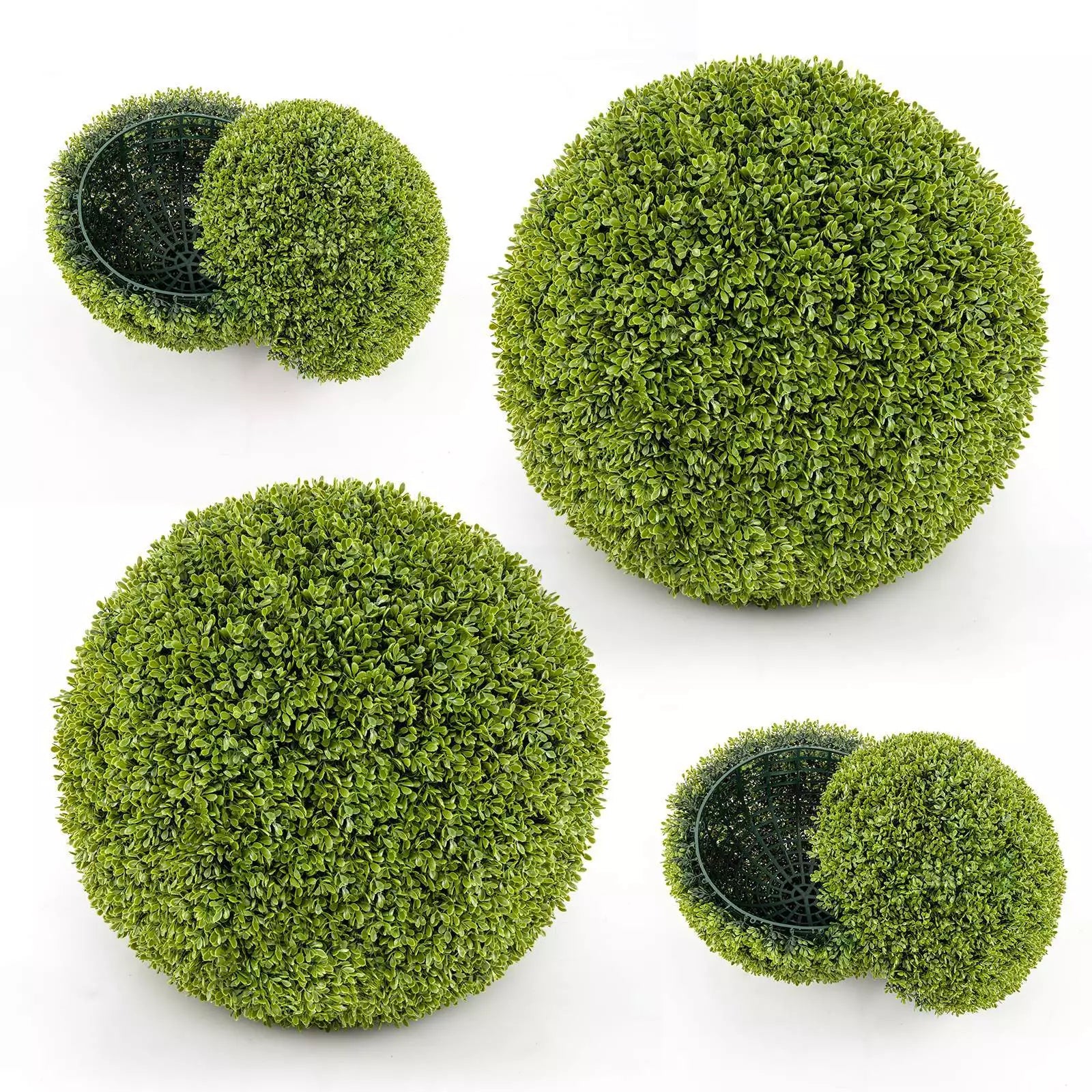 1+1 GRATIS | GreenSphere – Immergrüner Charme für Haus &amp; Garten