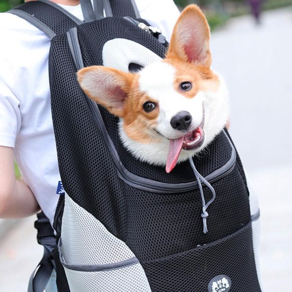 PetBuddy – Komfortable Hundetasche für sichere Abenteuer | 50% RABATT