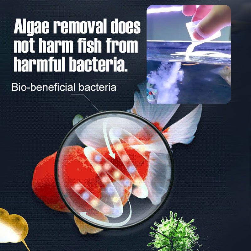 Algaecide™ – Beseitigt Algen Schnell