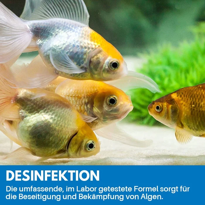 1+1 Gratis | Reinigungspulver Für Aquarium™