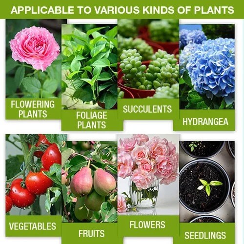 1+1 Gratis | ProPlant™ Pflanzenwachstumszusatz